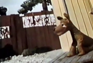 Davey and Goliath Davey and Goliath S01 E006 Cousin Barney