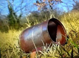 Minuscule Minuscule S03 E022 Out Of A Tin Can