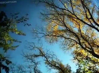 Minuscule Minuscule S03 E023 Cherry Tomato