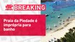 Três vítimas foram atacadas em 16 dias em praia de Pernambuco | BREAKING NEWS