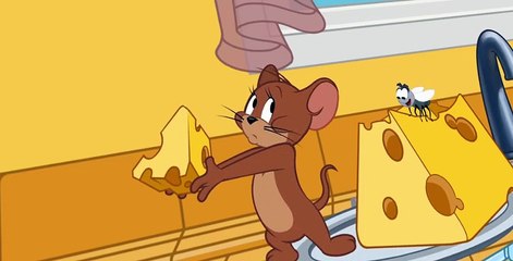 The Tom and Jerry Show S02 E20