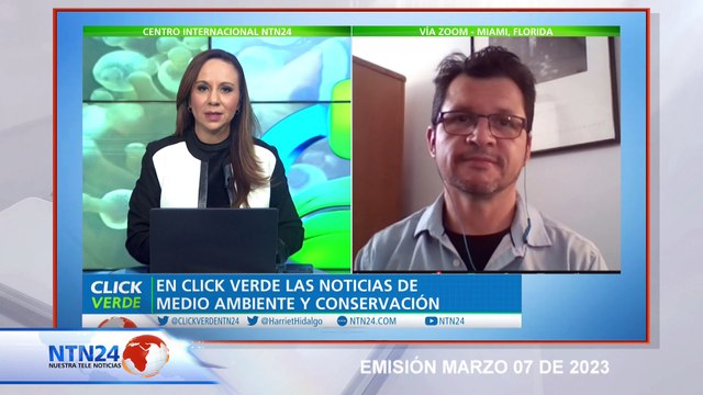 LAS ALTAS TEMPERATURAS ESTÁN DESENCADENANDO CAMBIOS EN EL COMPORTAMIENTO DE ALGUNAS ESPECIES, E INSECTOS COMO LAS TERMITAS NO SON LA EXCEPCIÓN.