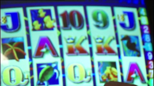 Pressure mounts on Victoria to follow gambling reforms of NSW and Tasmania