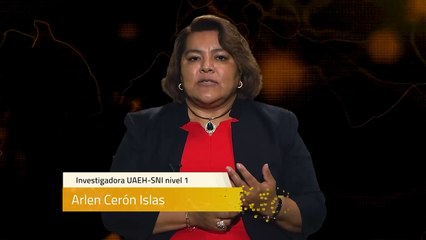 Sinapsis T1 Ep87 | Planeación Esencial para PYMES