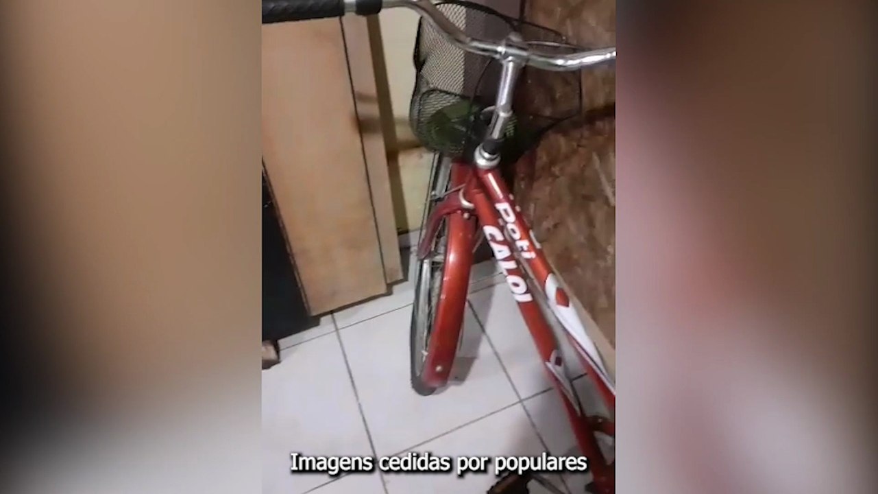 Tem medo? cobra d'água é capturada dentro de residência no Pioneiros Catarinenses