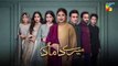 Mere Damad - Episode 31 [ Washma Fatima - Humayun Ashraf ] 16th February 2023 - HUM TV