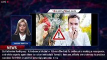 These are the bird flu symptoms in humans to look out for - 1breakingnews.com
