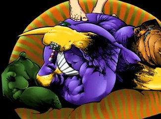 The Maxx The Maxx E007