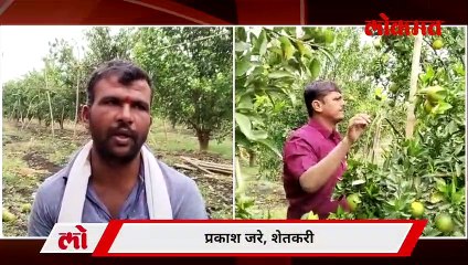 अवकाळी पावसानं तोंडचा घास गेला, शेतकऱ्याला बोलताही येईना