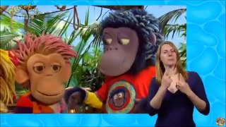 ZingZillas: Series 3: Orangutango (signed)