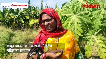 पारंपरिक शेतीला दिला फाटा, शेतकऱ्याच्या विधवा पत्नीनं निर्माण केला आदर्श