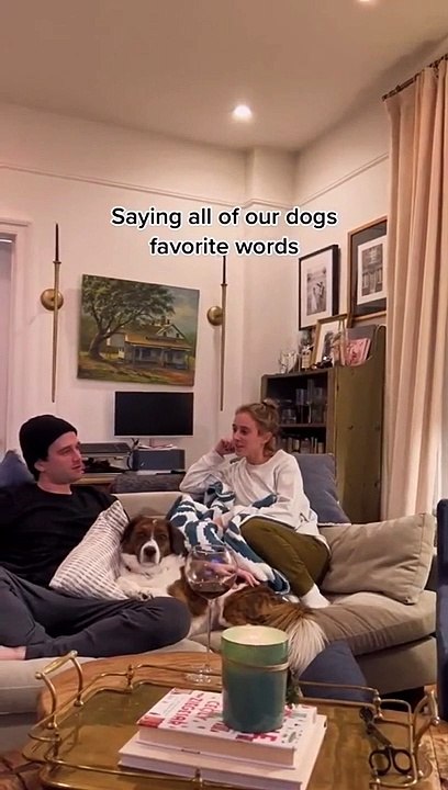 Ils disent tous les mots "magiques" devant leur chien : réaction incroyable