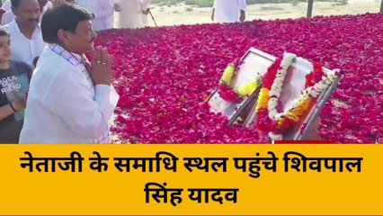 शिवपाल सिंह ने नेता जी के समाधि स्थल पर किए पुष्प अर्पित, होली पर हुए भावुक