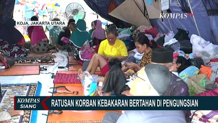 [LIVE] Ratusan Warga Korban Kebakaran Plumpang Masih Bertahan Dipengungsian