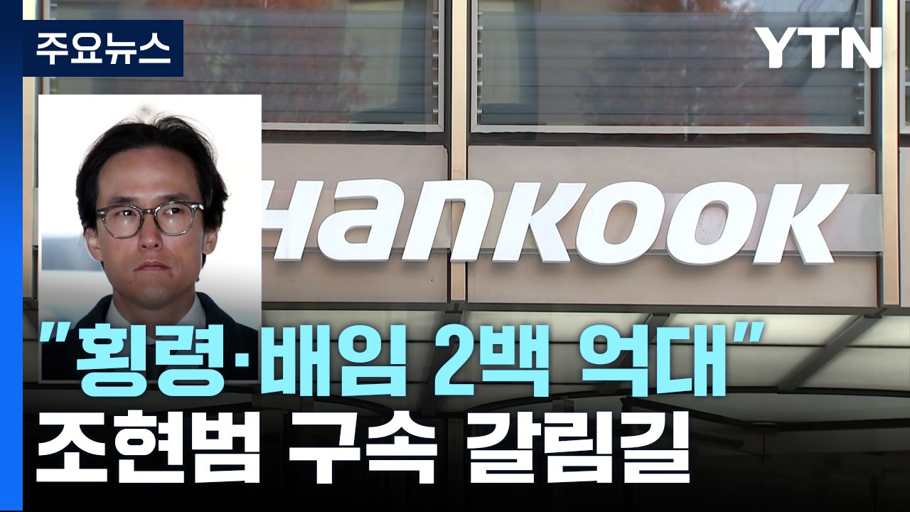 '200억 횡령·배임' 조현범 한국타이어 회장 구속 갈림길..."총수 품위 유지 위해...