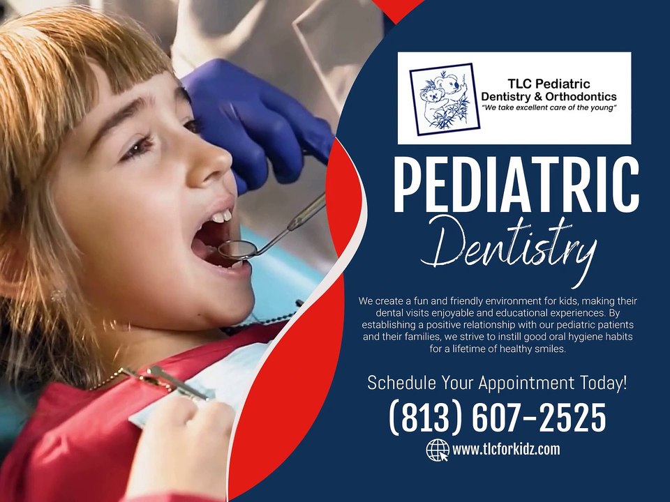 Pediatric Dentistry Tampa FL video Dailymotion