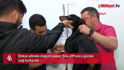 Enkaz altında doğum yapan Şila, 29’uncu günde sağ kurtarıldı