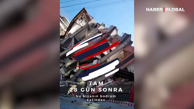 Mucize köpek: Depremin 28. gününde enkaz altından yeni doğurduğu 3 yavrusu ile böyle kurtarıldı!