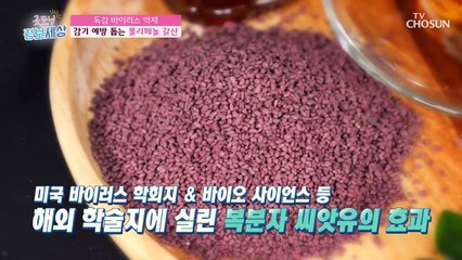 암 예방뿐만 아니라 전신 건강을 지켜주는 복분자 속 성분들! TV CHOSUN 230308 방송
