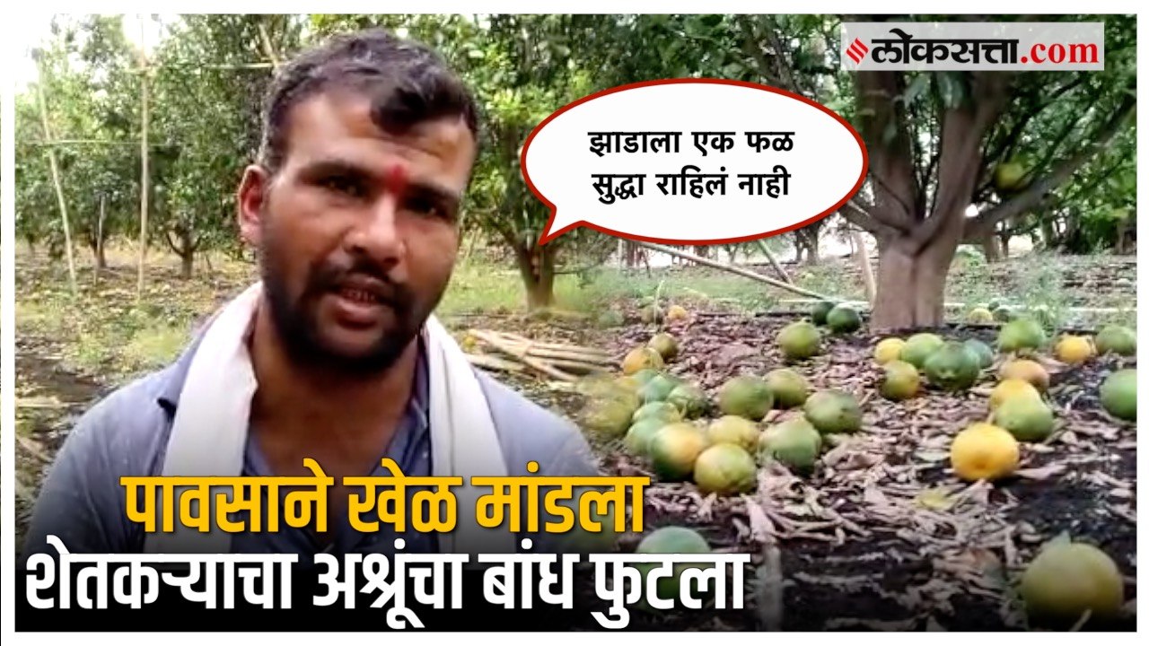 तोंडचा घास गेला; शेतकऱ्याच्या साडेचार एकरावरील संत्रा फळबागेचं नुकसान  | Beed