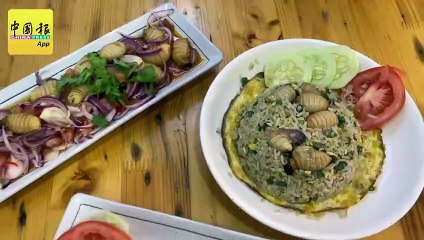 食客排队打卡  狮城客也来槟吃虫