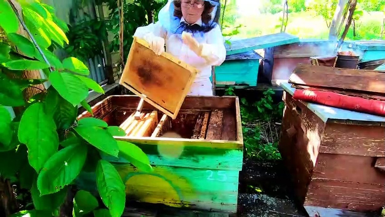 A BEESHIVE FARM IN MOLDOVA