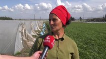 Hataylı Depremzede Çiftçi Gülhan Özkurt'tan Kadınlara Mesaj: 