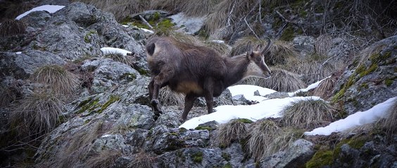 AU COEUR DES HAUTES ALPES