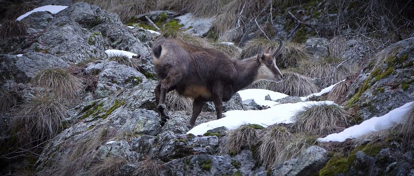 AU COEUR DES HAUTES ALPES