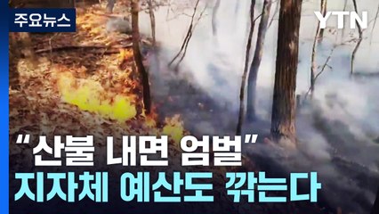 "산불 내면 엄벌"...지자체 예산도 깎는다 / YTN