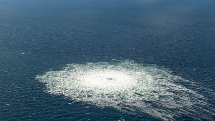 Nord Stream: le sabotage « ne vient pas de notre action » , affirme le ministre ukrainien de la Défense