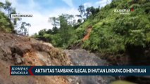 Aktivitas Tambang Ilegal di Hutan Lindung Dihentikan
