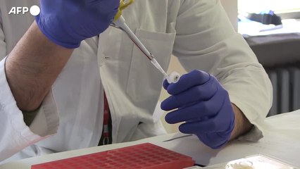 Covid, La scienza fa quadrato: "Difendiamo chi era in prima linea"