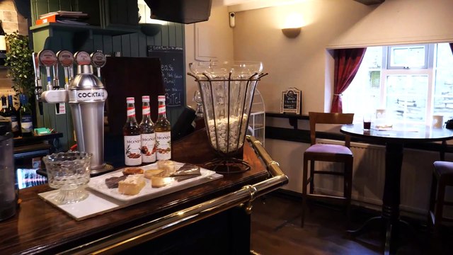 Parrot banned from watching TV because he can't stop dropping F-bomb