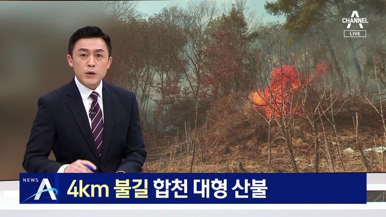 ‘4km 불길’ 합천 대형 산불…대응 3단계, 200여 명 대피