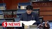 Govt seeks to amend laws related to sexual offences against children, says Azalina