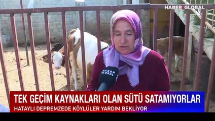 Hataylı depremzede köylüler yardım bekliyor! Tek geçim kaynakları olan sütü satamıyorlar