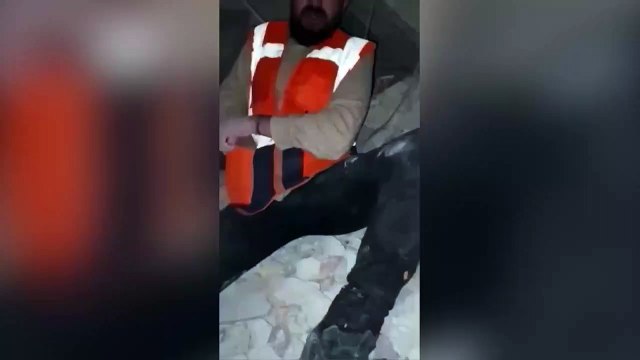 Turkish Dog Gives Birth to Three Pups Trapped under a Collapsed Building Rescued after 28 Days