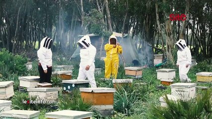 8 مارس.. مغربيات يواصلن مسيرة إثبات الذات في حرف تقليدية _رجالية_ وهذه رسالة الوزيرة عمور للنساء