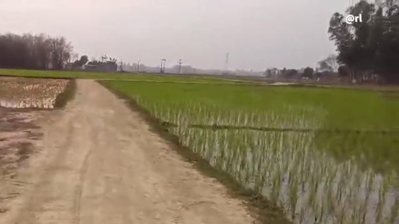 দঃ দিনাজপুর: বেহাল রাস্তা সংস্কারের দাবি, ক্ষোভ গ্রামবাসীদের