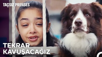 Masal'ın Yaşayamayacağı Hayatı Köfte Yaşayacak! - Taçsız Prenses 5. Bölüm