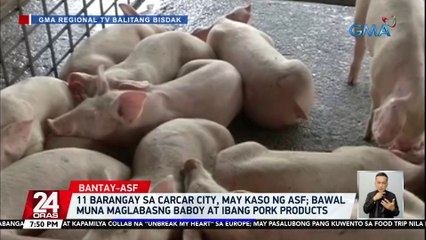 11 barangay sa Carcar City, may kaso ng ASF; Bawal muna maglabas ng baboy at ibang pork products | 24 Oras
