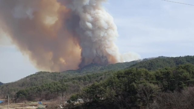 경남 합천 산불 대응 3단계 격상...앞으로의 진화 계획은? / YTN