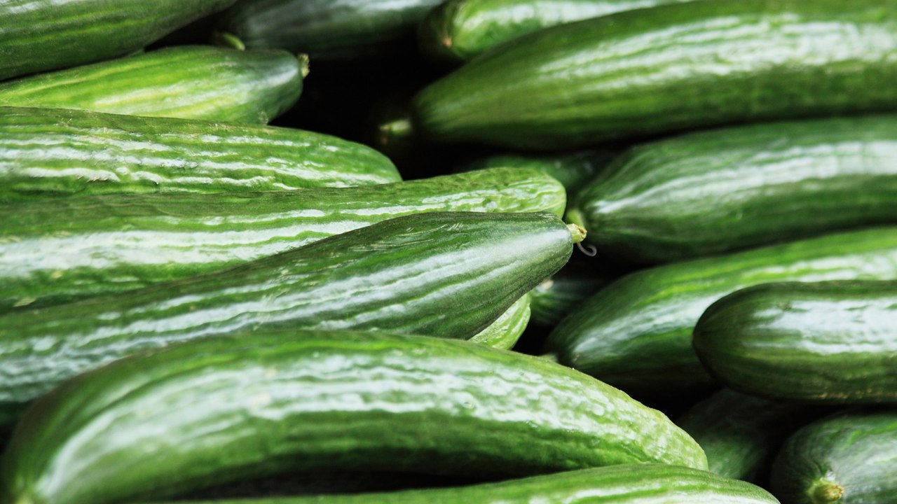 Gurke & Paprika bald nur noch Luxus-Ware? Warum Gemüse gerade so teuer ist