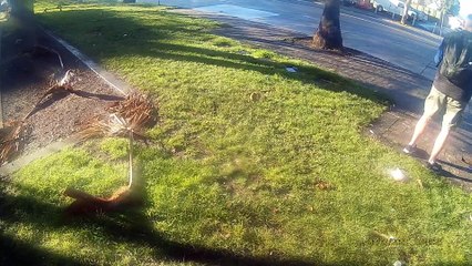 Karen tries to Run me off near the Bus Stop.