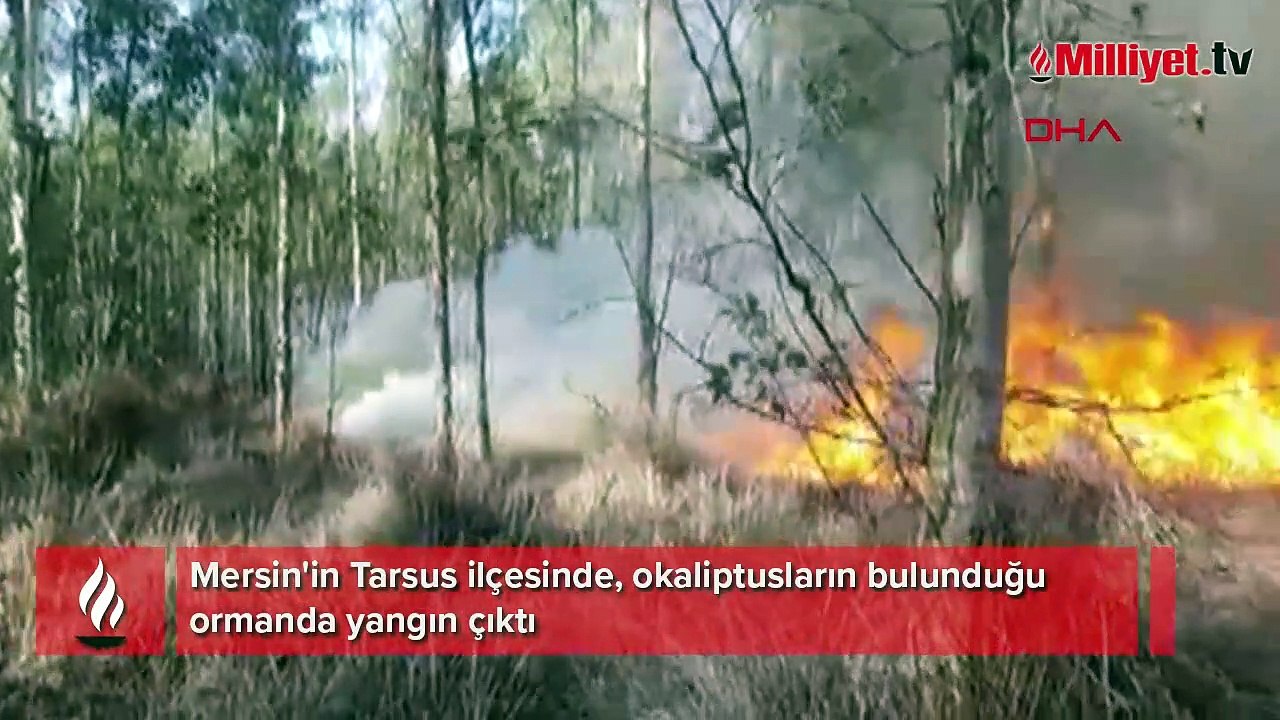 Mersin'de orman yangını