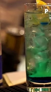 Les politiques sont-ils bêtes ?