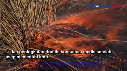 Asap Tebal Akibat Kebakaran Lahan Argentina Merusak Kesehatan Penduduk Setempat