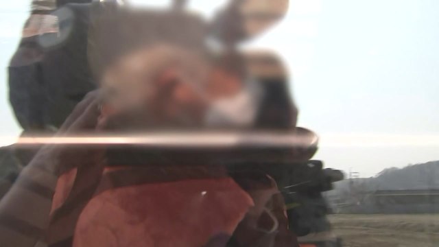 개 1,200여 마리 굶겨 죽인 60대 남성 구속 / YTN