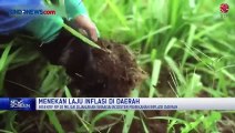 Strategi Pemerintah Menekan Laju Inflasi di Daerah